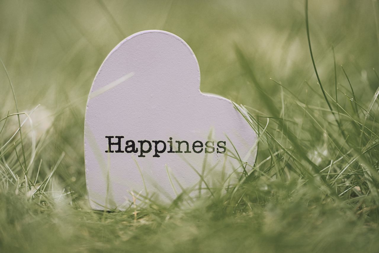Offerings A heart-shaped sign with 'Happiness' text nestled among green grass, symbolizing joy and encouragement.